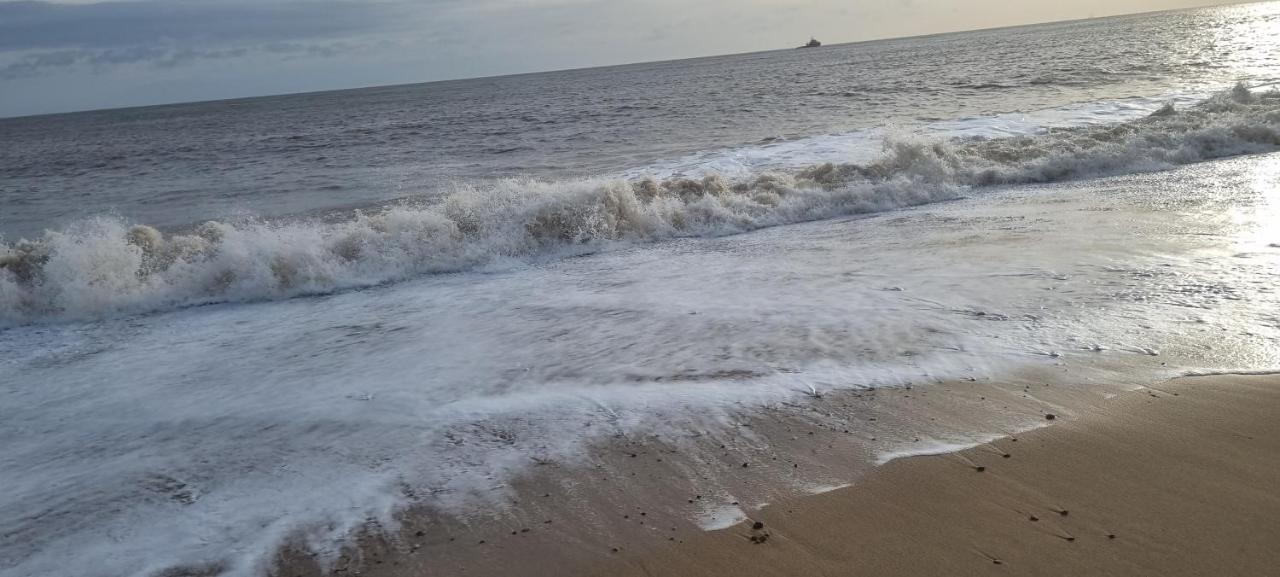 Twin Palms Guesthouse Great Yarmouth Kültér fotó
